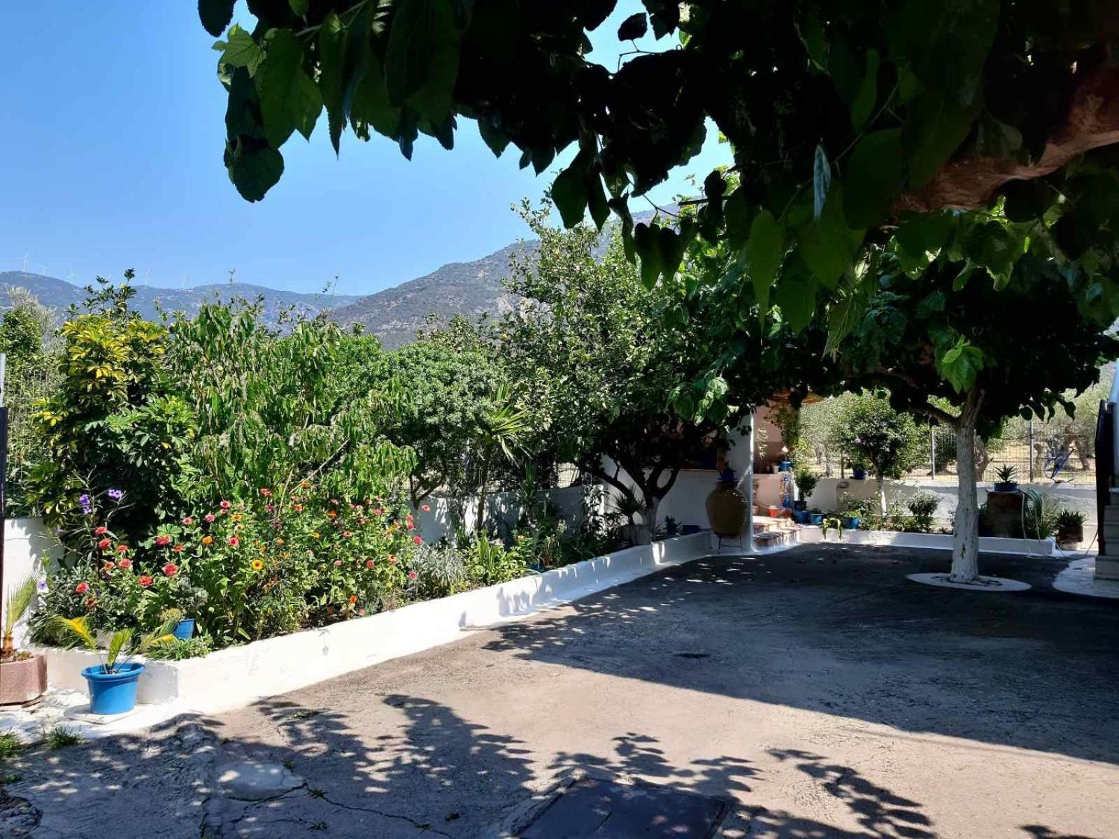 Glyfada'S Family Apartment Glifáda Fokídasz Kültér fotó