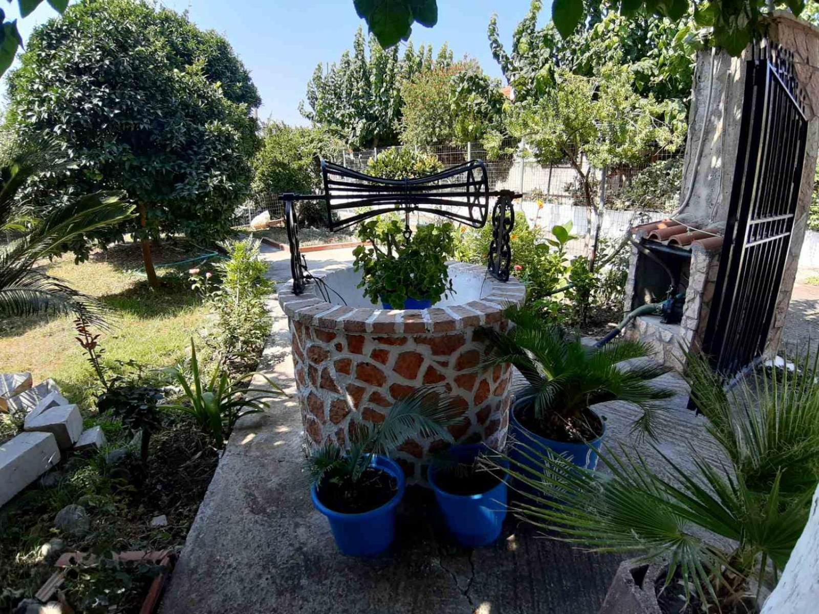 Glyfada'S Family Apartment Glifáda Fokídasz Kültér fotó